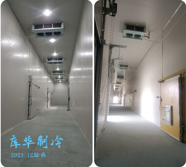 某农业发展公司10000m³大型气调冷库设计安装