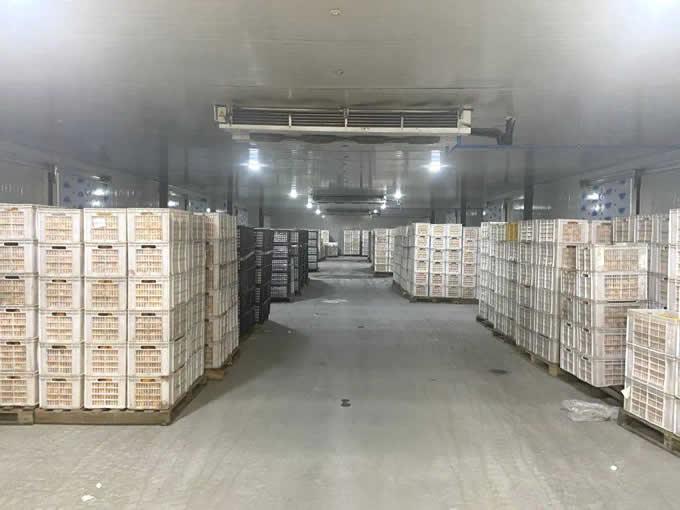 气调库的特点及优点有哪些?