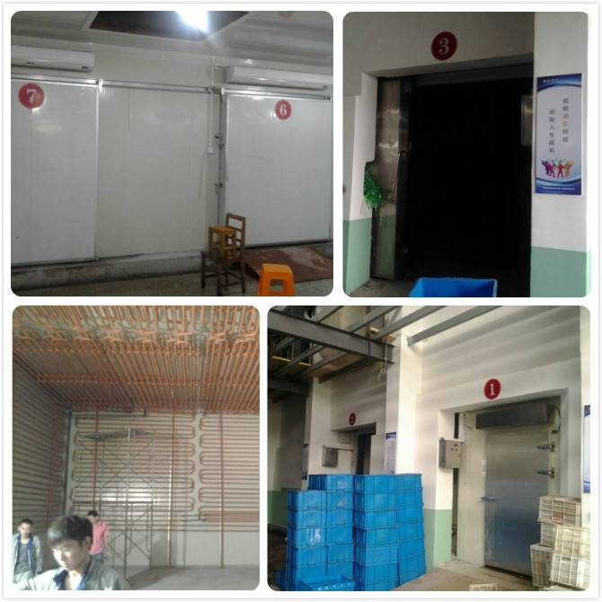 宁波绿安农场3500立方冷藏库工程