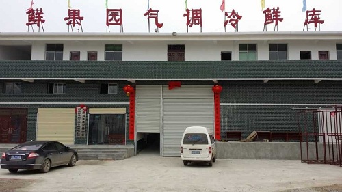 湖北鲜果园水果保鲜大型气调冷库设计安装