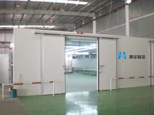 建造一个低温冷冻库需要多少钱
