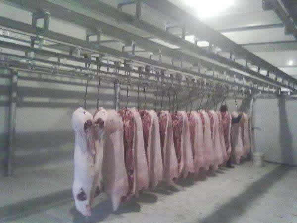 1000吨肉类低温冷冻库建造成本需要多少钱?