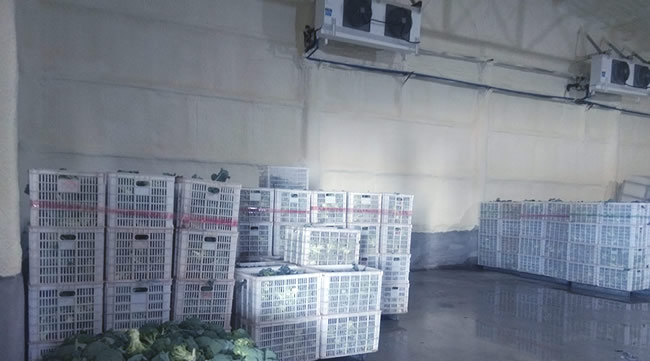 食品冷库如何建造 食品冷库造价