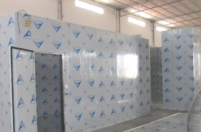 杭州冷饮冷库建造 棒冰冷库价格