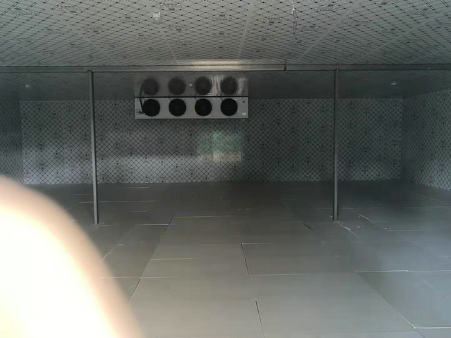 鲜花冷库可行吗?鲜花能不能放冷库