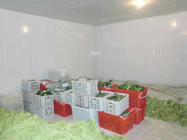 果蔬冷库建造的温度和湿度要求
