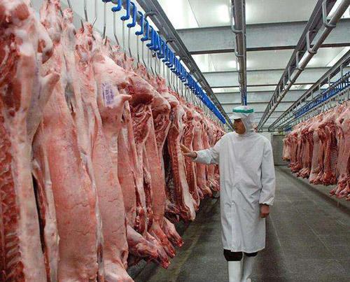 肉类低温冷库造价一平米多少钱