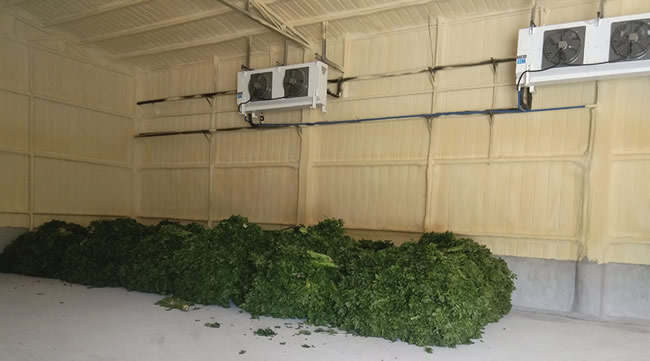 大型果蔬冷库冷却降温的方式是什么