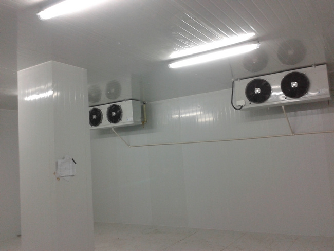 建造20吨冷库安装报价大概多少费用?