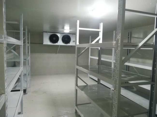 宁波建造肉类冷库大概需要多少钱