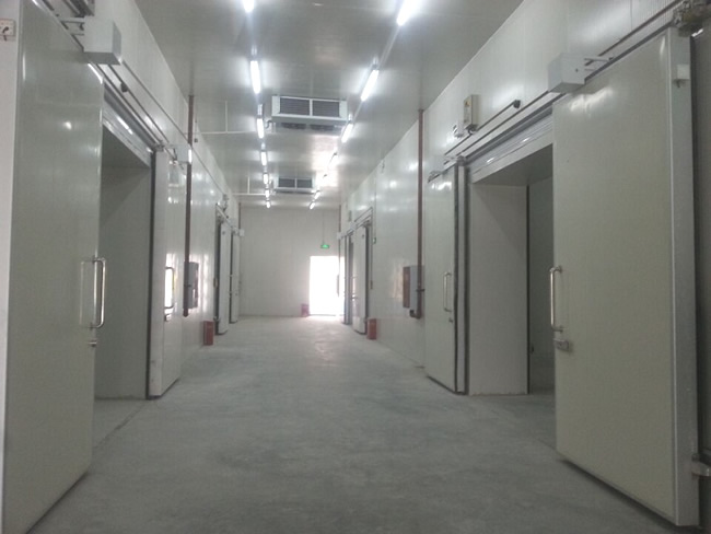 建造一个工业冷库成本费用大概多少?