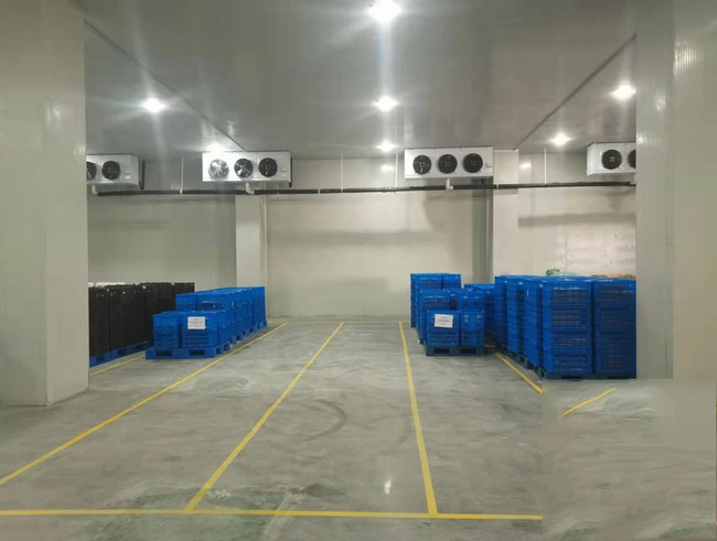 金华建一个水果冷库需要多少钱？