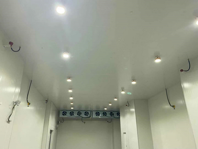 衢州建造20平方保鲜冷库需要多少钱？