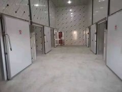 蜜桔怎么保存时间长？橘子冷库储存藏保鲜方法